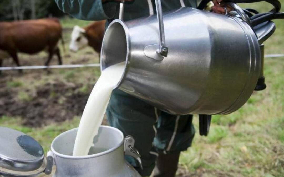 171 tonnes de lait produites en 2022, le signal d’une reprise durable ?