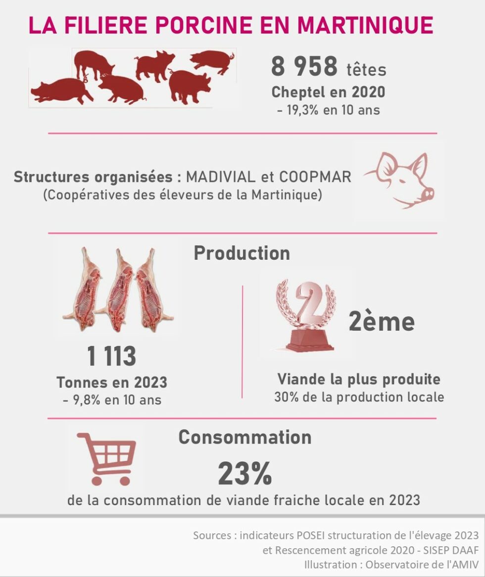 Tableau de bord de la filière porcine en Martinique - L'écho des ...