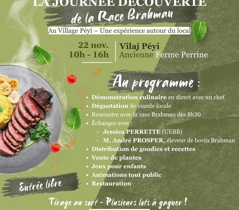 La race bovine Brahman à l’honneur